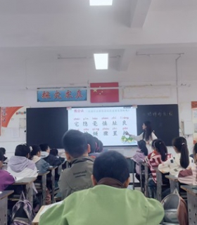 多学科教研活动，助力教学质量提升 -----宝应县桃园小学北校区集体教研 ... ...