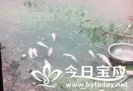 QQ截图20150624103224.png